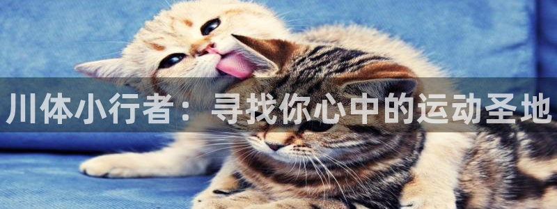 3377体育官网下载官方客服电话：川体小行者：寻找你心中的运