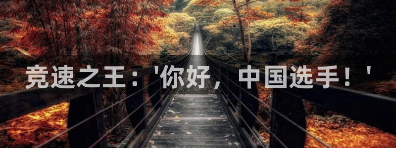 3377体育官网下载招商电话号码查询是多少：竞速之王