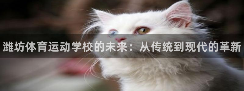 海南3377体育官网下载发展怎么样：潍坊体育运动学校