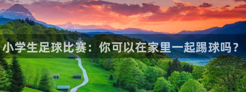 德国3377体育官方正版app集团：小学生足球比赛：