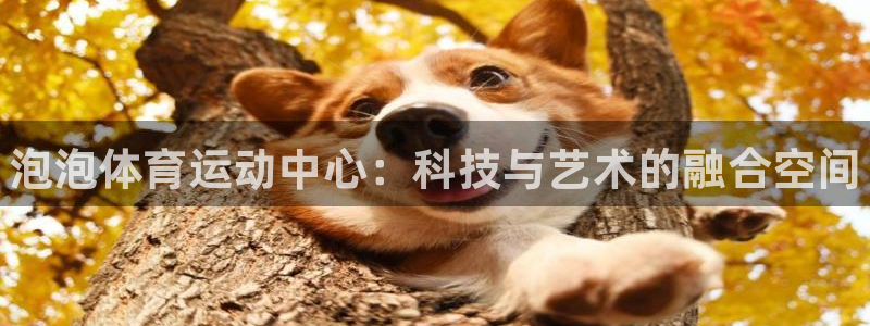 3377体育官网下载招商：泡泡体育运动中心：科技与艺