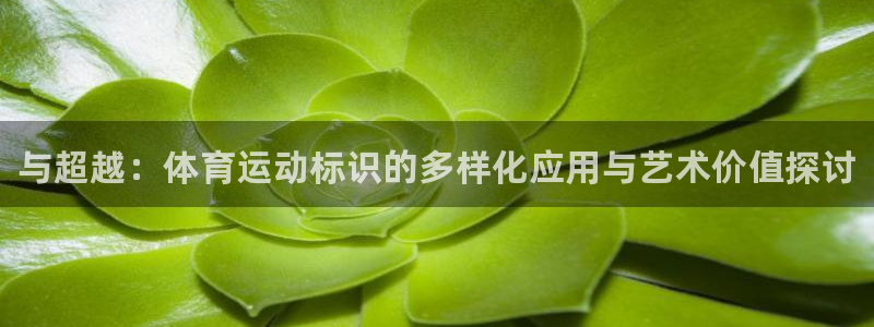 3377体育官网下载招商电话地址查询：与超越：体育运动标识的