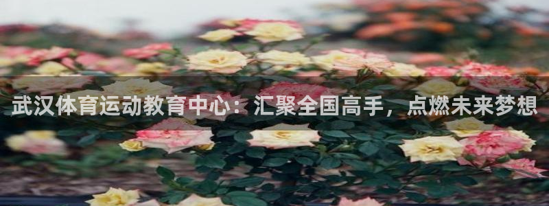 3377体育官网下载招商电话号码：武汉体育运动教育中