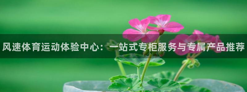 3377体育官网下载平台注册：风速体育运动体验中心：