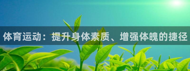 3377体育官方正版app娱乐首页官网下载：体育运动