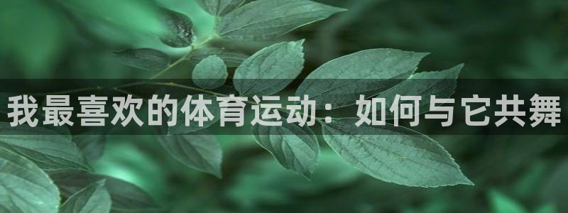 3377体育官方正版app集团简介：我最喜欢的体育运