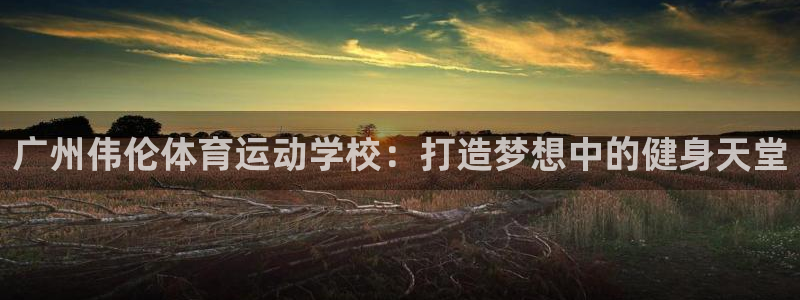 3377体育官网下载平台注册要钱吗：广州伟伦体育运动