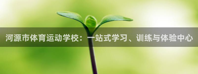 3377体育骗了多少人