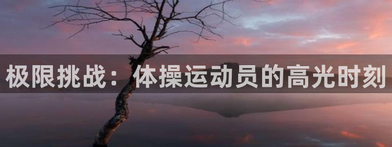 3377体育最厉害三个平台：极限挑战：体操运动员的高光时刻