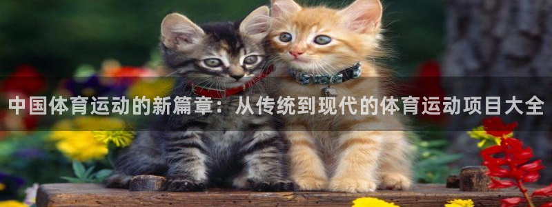 3377体育十大必吃榜：中国体育运动