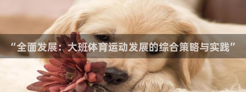 3377体育犯法吗：“全面发展：大班