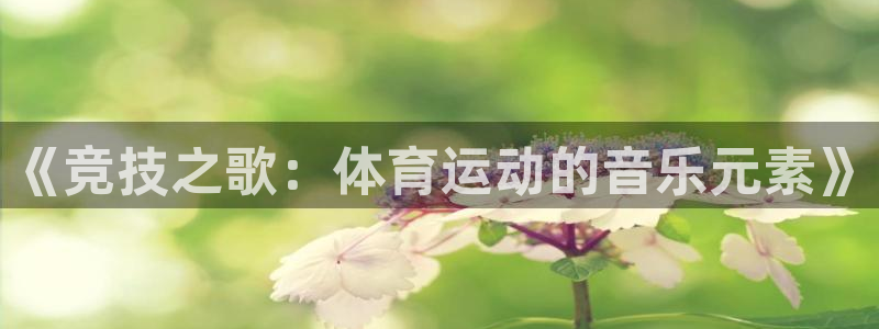3377体育是干嘛的：《竞技之歌：体