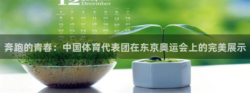3377体育现在叫什么：奔跑的青春：