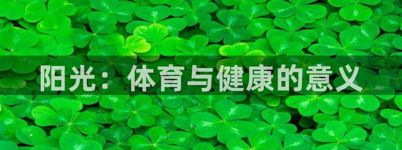 3377体育官方正版app代理