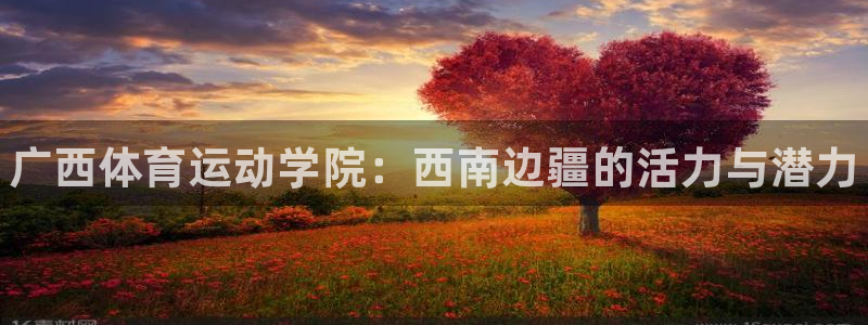 3377体育官网下载招商电话号码是多少啊