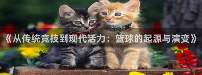 3377体育官网下载招商电话号码查询是多少