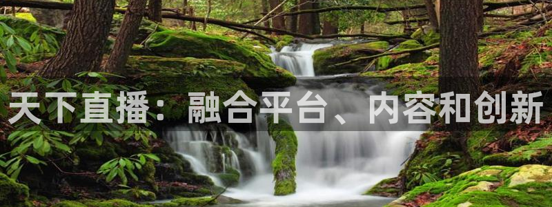 河豚体育直播看球app：天下直播：融合平台、内容和创新