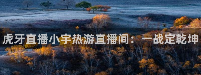 河豚的：虎牙直播小宇热游直播间：一战定乾坤