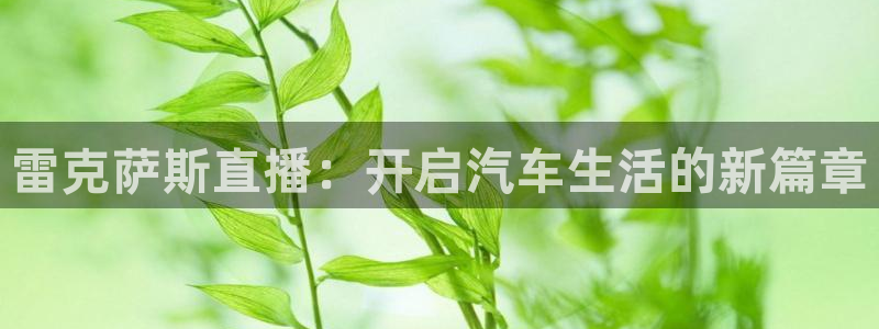 河豚在线：雷克萨斯直播：开启汽车生活的新篇章