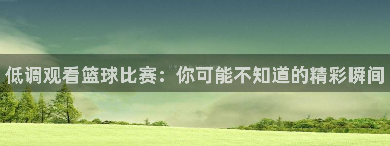 河豚看球：低调观看篮球比赛：你可能不知道的精彩瞬间