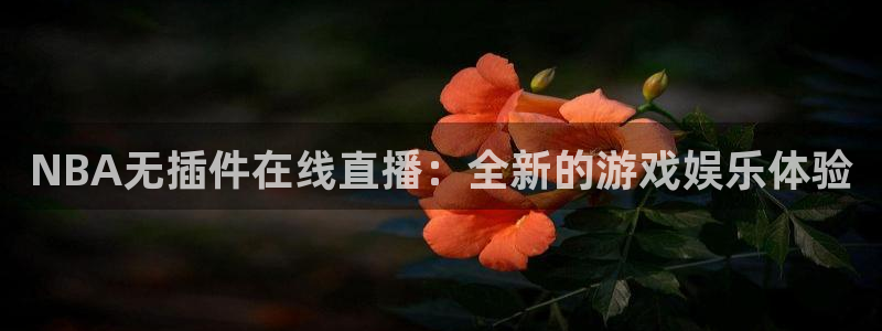 河豚面：NBA无插件在线直播：全新的游戏娱乐体验