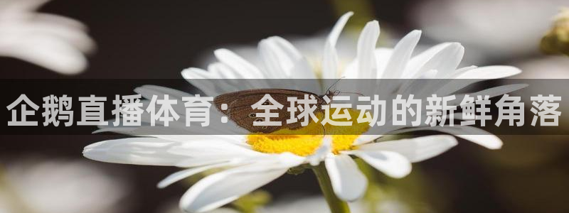河豚在线：企鹅直播体育：全球运动的新鲜角落