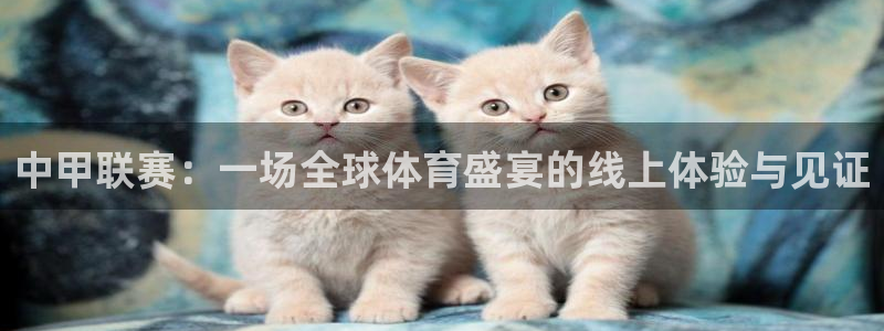 河豚直播nba：中甲联赛：一场全球体育盛宴的线上体验与见证