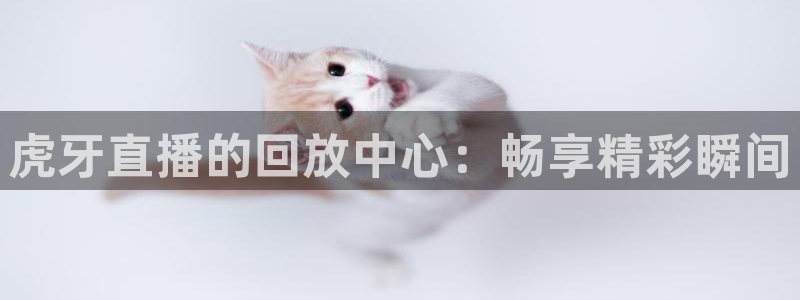 河豚nba直播官网：虎牙直播的回放中心：畅享精彩瞬间