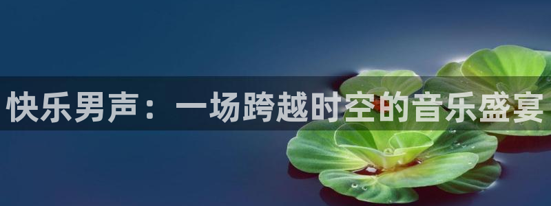 河豚体育直播下载：快乐男声：一场跨越时空的音乐盛宴