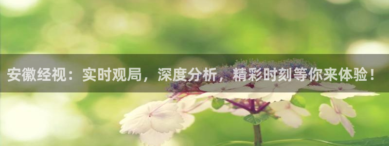 河豚河豚：安徽经视：实时观局，深度分析，精彩时刻等你来体验！