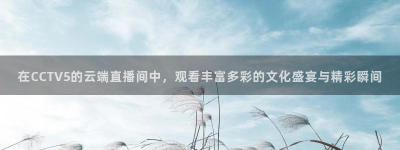 河豚直播体育app下载