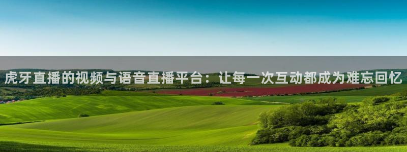 河豚直播nba免费观看