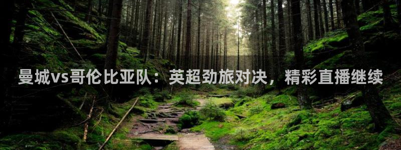 河豚体育足球直播