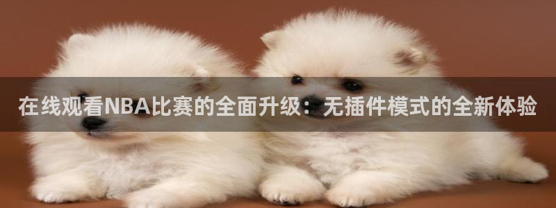 河豚体育在线直播nba：在线观看NBA比赛的全面升级：无插件模式的全新体验